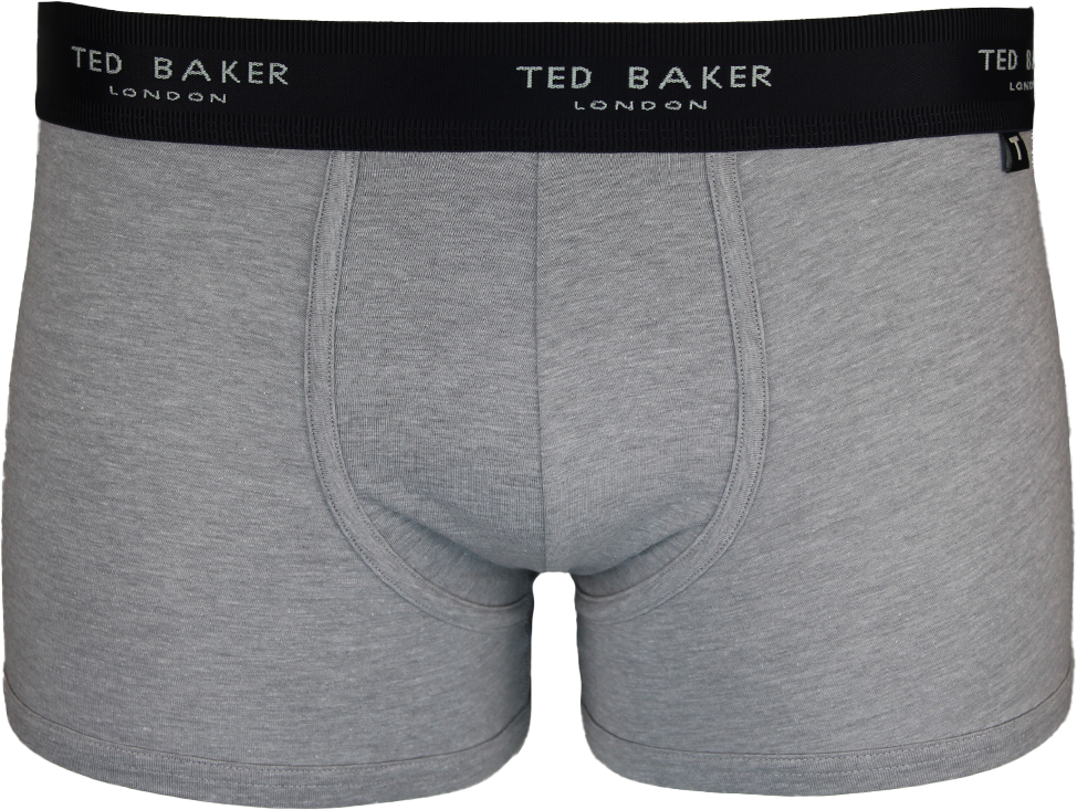 Grey Ted Baker grey boxer trunk