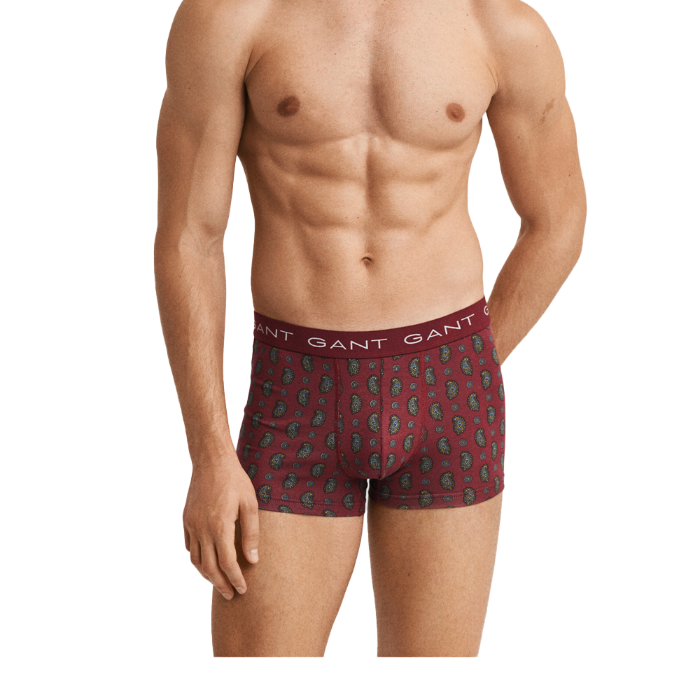 Man wearing GANT patterned boxer briefs on a white background
