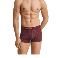 Man wearing GANT patterned boxer briefs on a white background