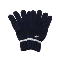 navy gloves with Gant shield logo
