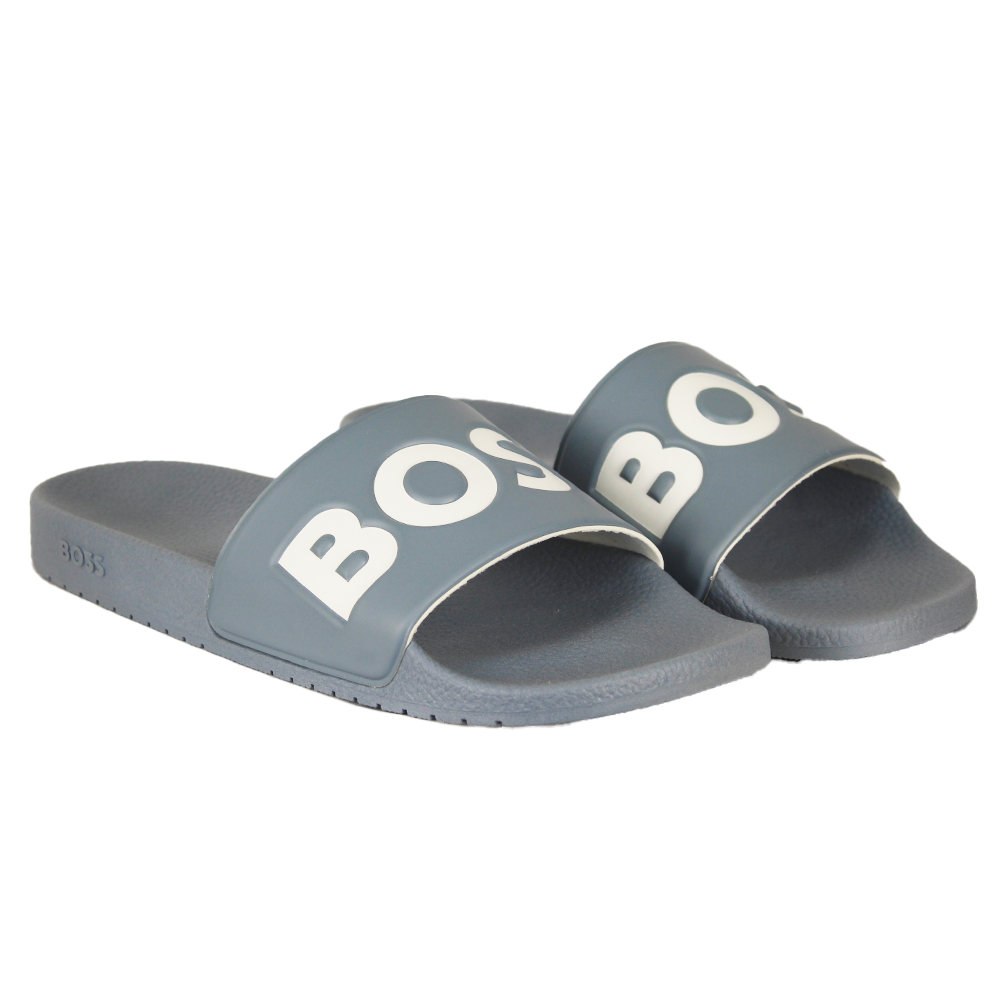 Gray slides with 'BOSS' branding on a white background