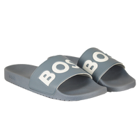 Gray slides with 'BOSS' branding on a white background