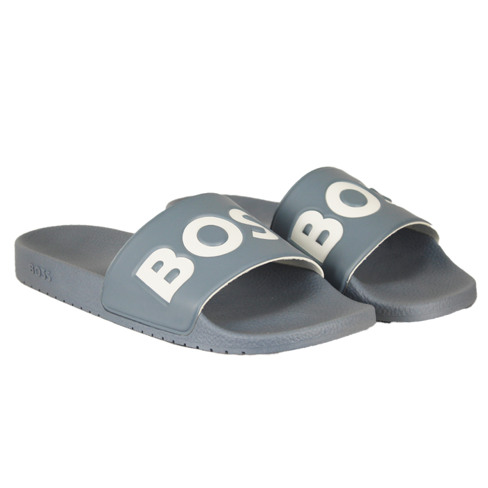 Gray slides with 'BOSS' branding on a white background