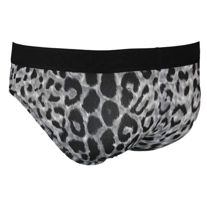 Leopard print underwear with black waistband on a white background