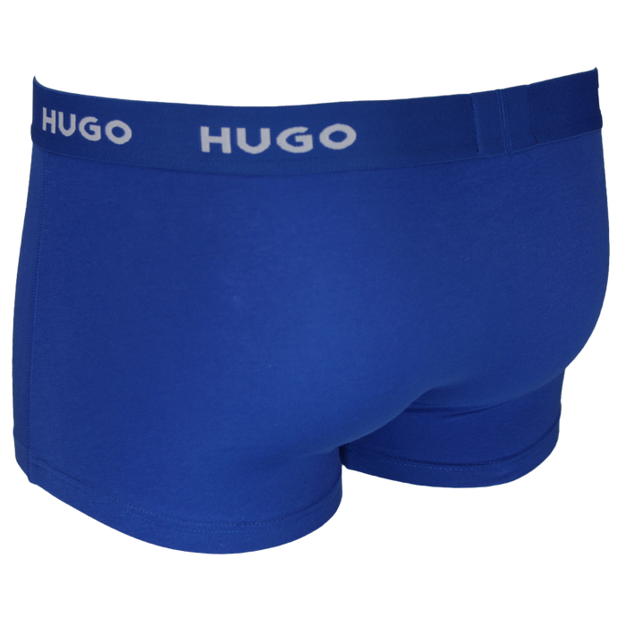Blue Hugo boxer trunk back