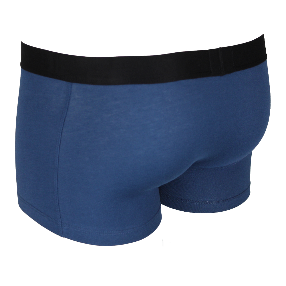 Blue boxer trunk back view