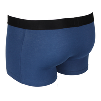 Blue boxer trunk back view