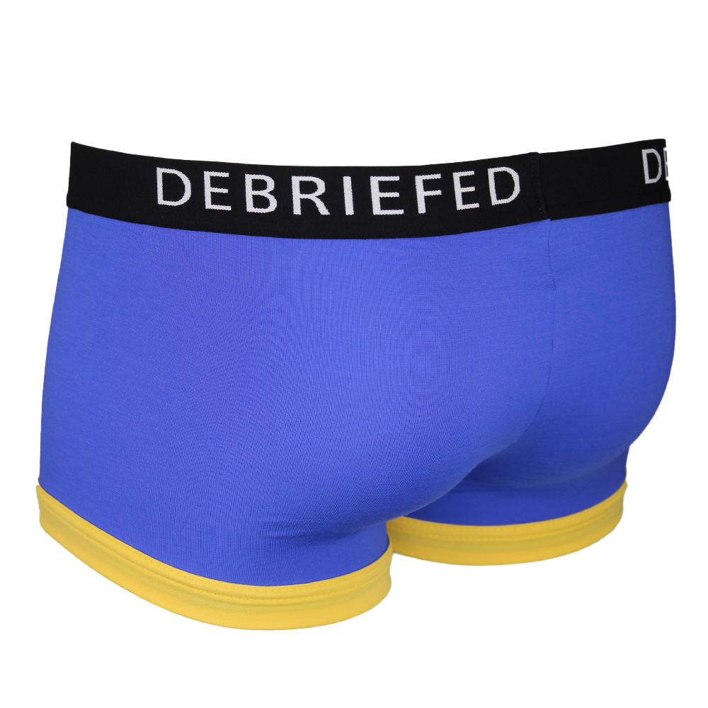 Blue boxer trunk with a black waistband labeled 'DEBRIEFED' on a white background back view