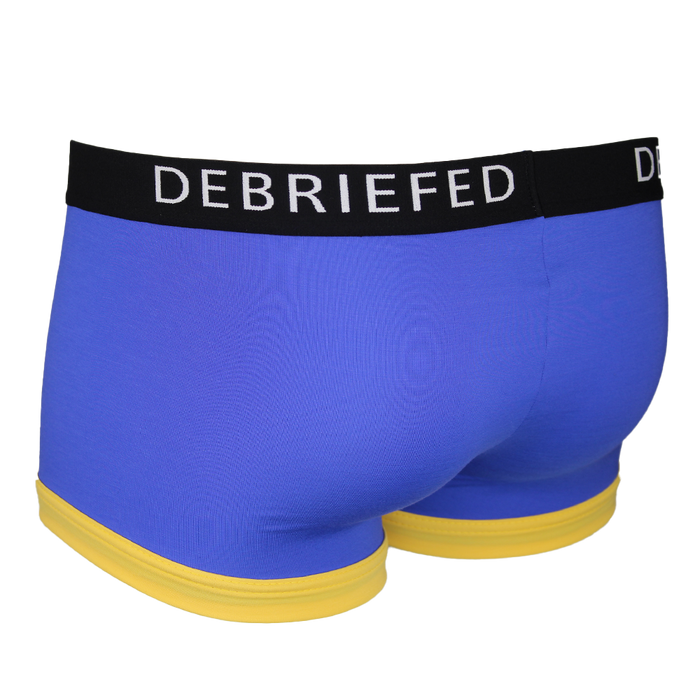 Blue boxer trunk with a black waistband labeled 'DEBRIEFED' on a white background back view