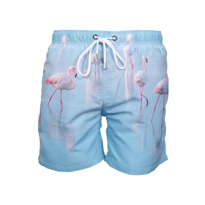 Lauderdale Flamingoes Photographic Print Swim Shorts, Blue-Franks-UNDERU